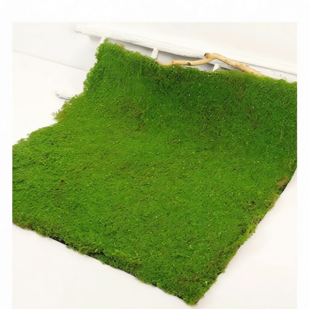 Faux Moss Turf Mat Artificial  - Preserved Moss Sheet ulasan dan harga