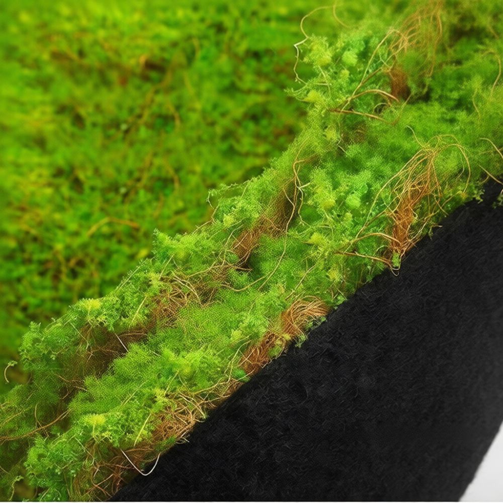 Faux Moss Turf Mat Artificial  - Preserved Moss Sheet ulasan dan harga