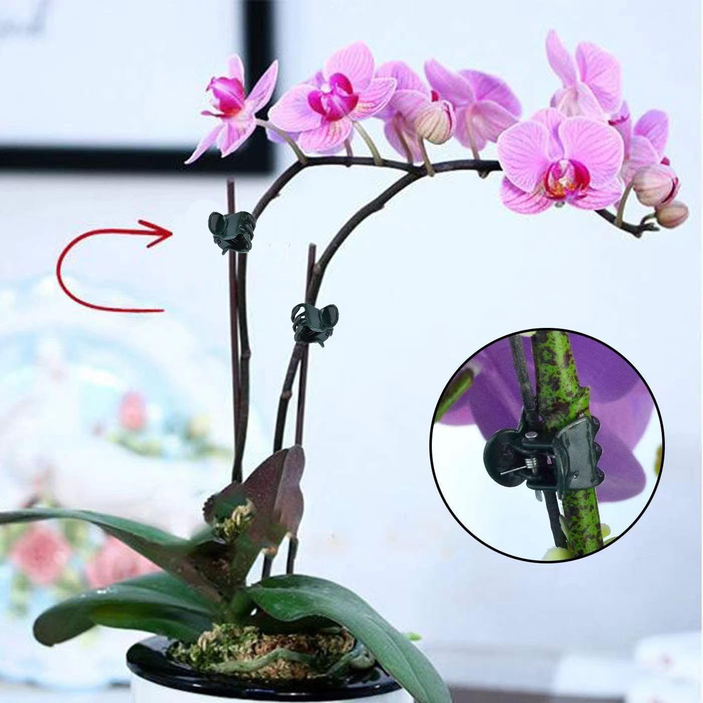 Mini Plant Clips 100PCS Garden - Florist Supply Bulk ulasan dan harga