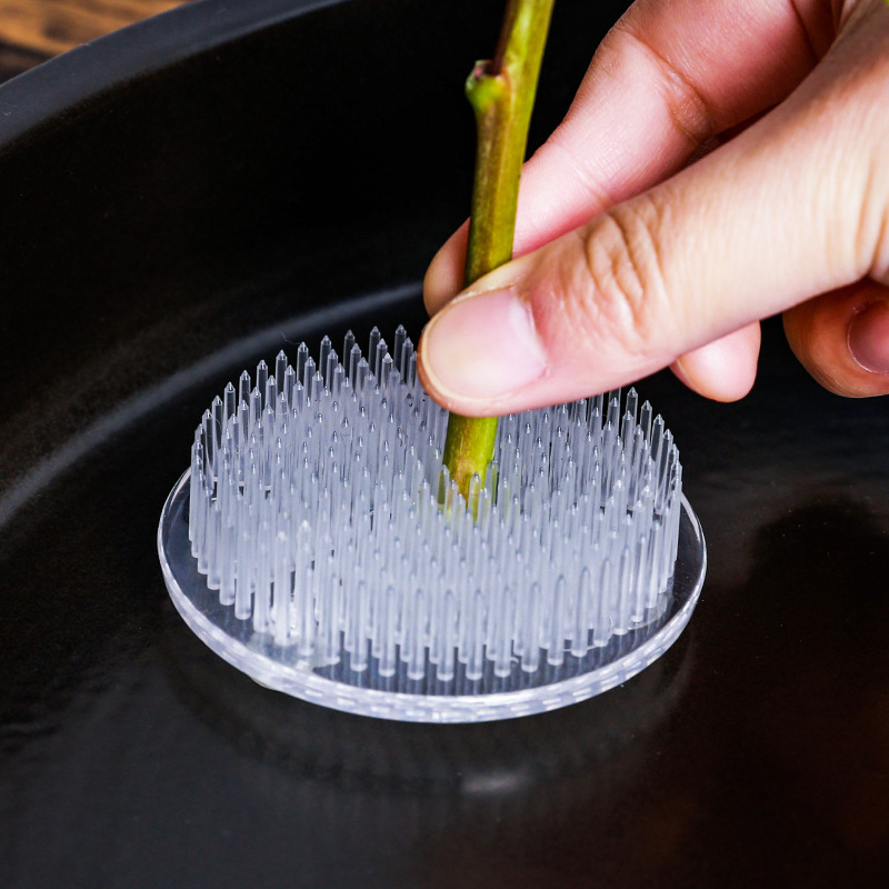 Round Ikebana Stem Holder Suct - Florist Supply Bulk ulasan dan harga