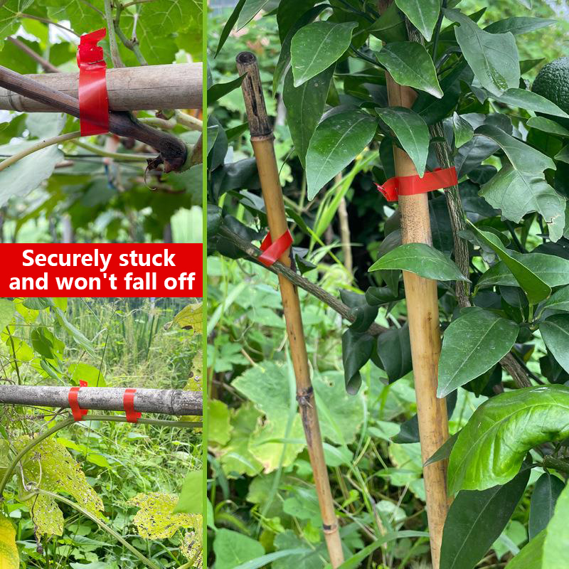 Household Garden Plant Tying T - Florist Supply Bulk ulasan dan harga